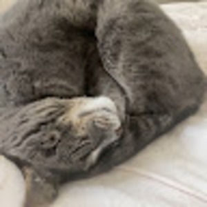 Meet your Posher, Robloxgirl_5678